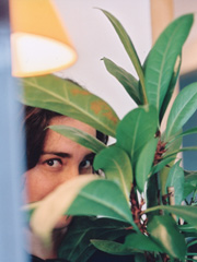 Bildvergr&ouml;&szlig;erung bitte klicken